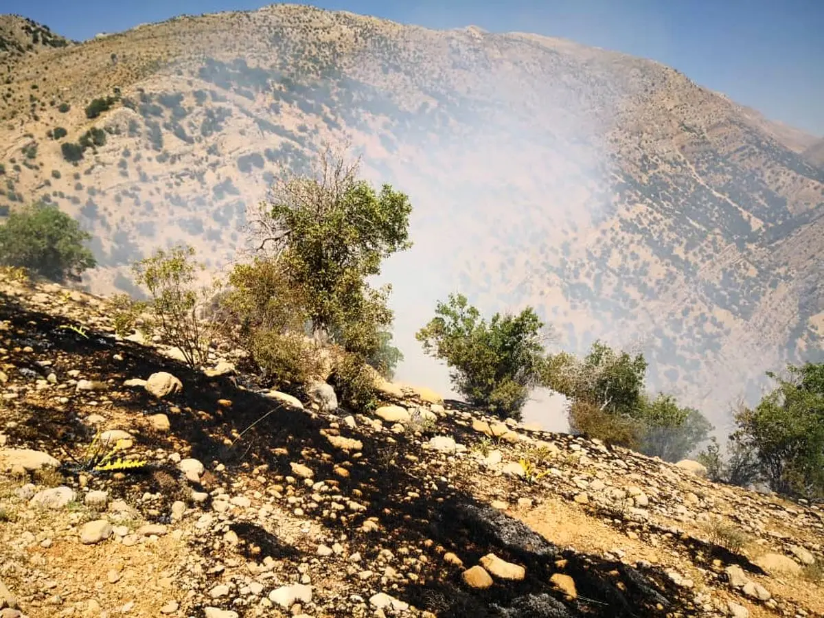 آتش سوزی در ارتفاعات آبشار یاسوج از ساعاتی قبل آغاز شد