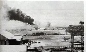 کدام پرنده‌ها سرنوشت جنگ تحمیلی را تغییر دادند؟ + تصاویر