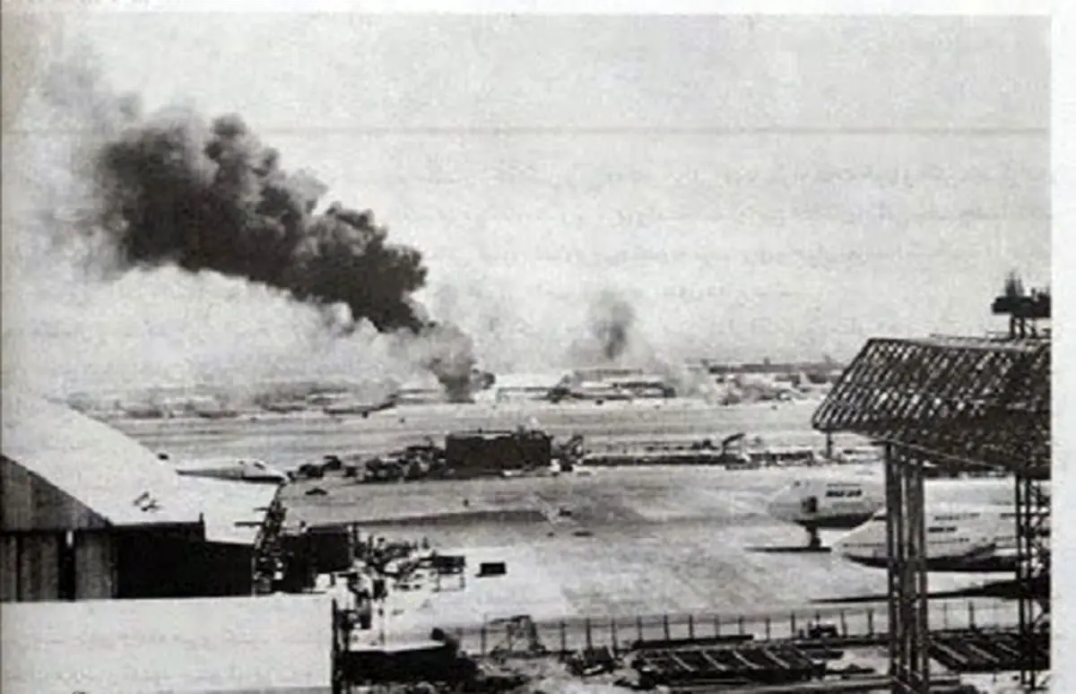 کدام پرنده‌ها سرنوشت جنگ تحمیلی را تغییر دادند؟ + تصاویر