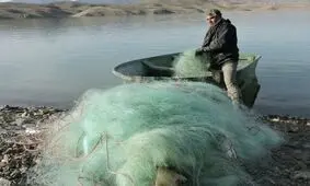 آغاز برداشت ماهیان گرمابی از سد سرارو شهرستان سیریک