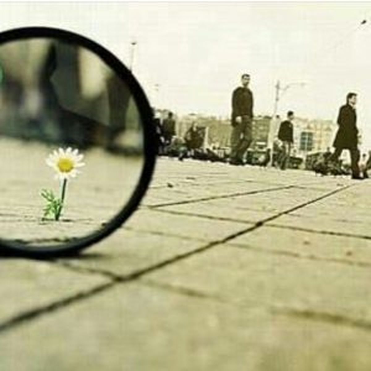 پست اینستاگرامی هنرمندان درباره سومین مناظره/ از کاهانی و ایزدیار تا عربنیا
