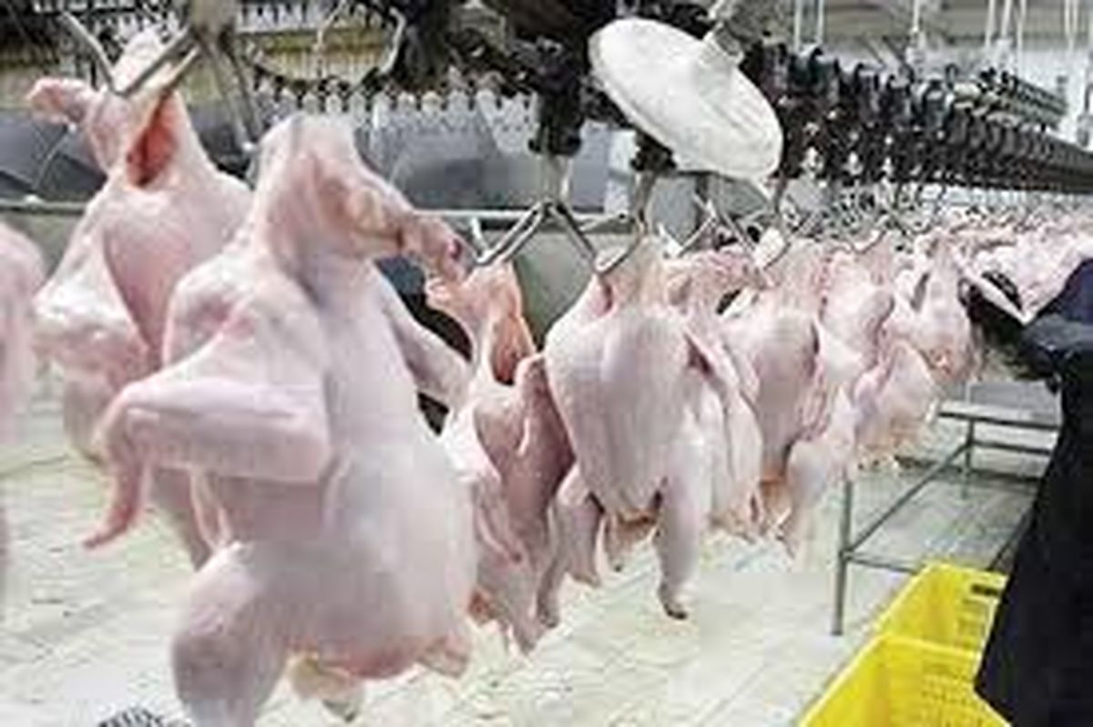 پرداخت تسهیلات نوسازی و تجهیز به کشتارگاه های استان همدان