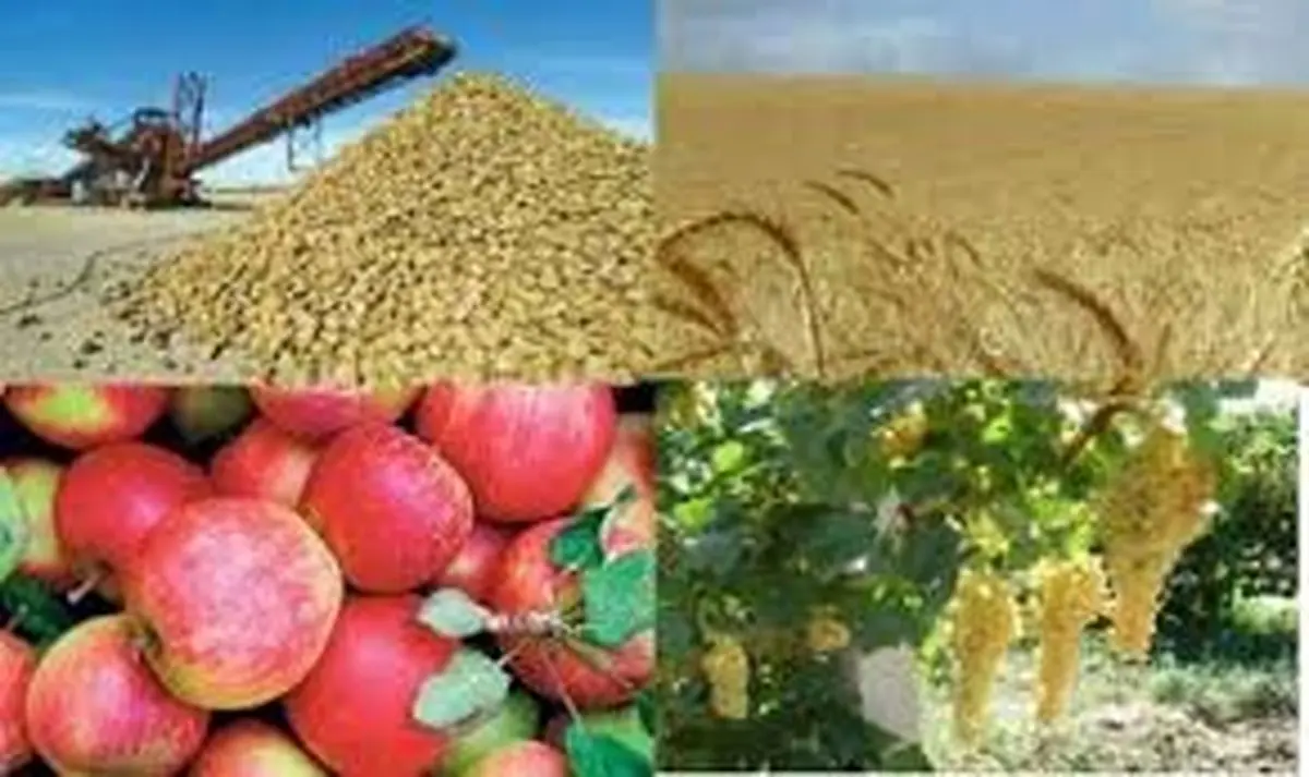 تولید ۲.۵ میلیون تن محصولات کشاورزی در شمال استان کرمان