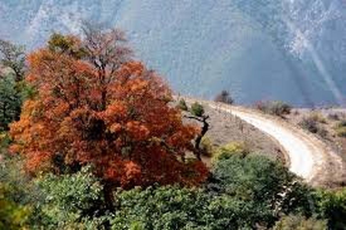 ۳۵هزار هکتار مناطق جنگلی استان سمنان در موقعیت بحرانی آتشسوزی