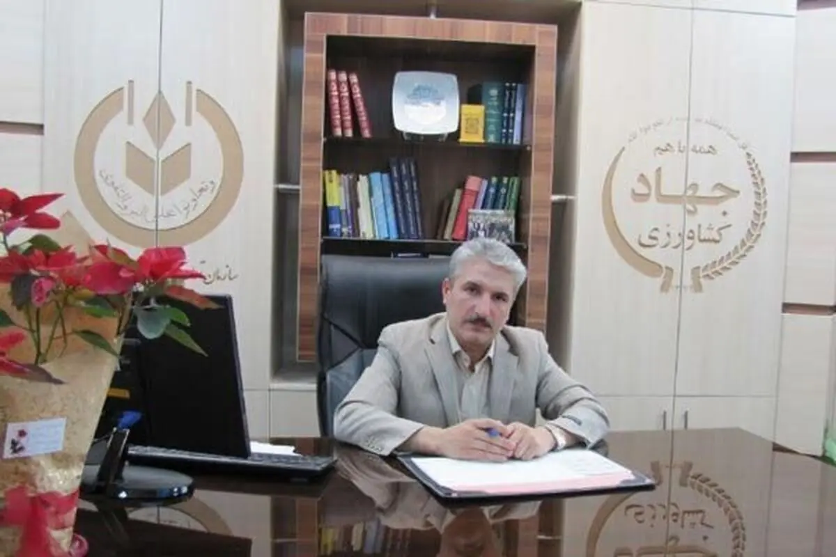 ‌آغاز خرید تضمینی گندم در ۸ مرکز خرید شبکه تعاون روستایی قزوین