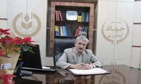 ‌آغاز خرید تضمینی گندم در ۸ مرکز خرید شبکه تعاون روستایی قزوین