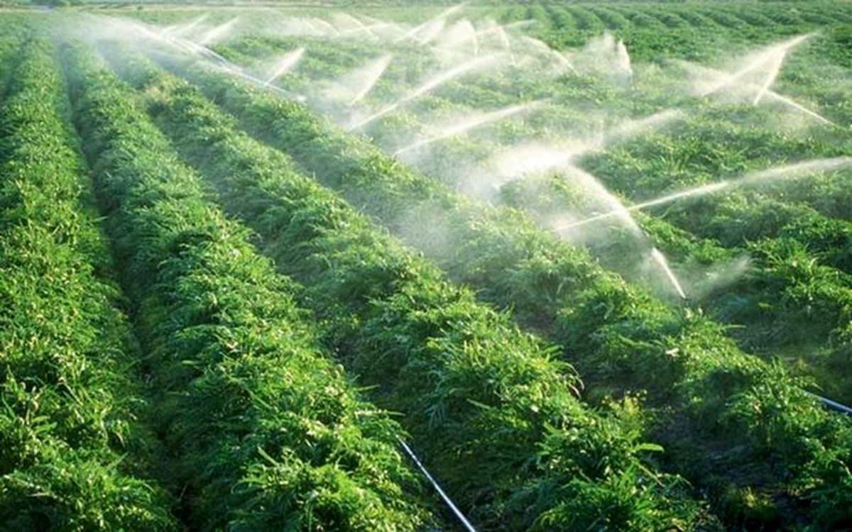 طرح ۱۲۵ هکتاری آبیاری کمفشار در شهرستان شادگان افتتاح شد