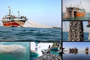 کشتی‌های چینی درآب‌های ایران حضور ندارند