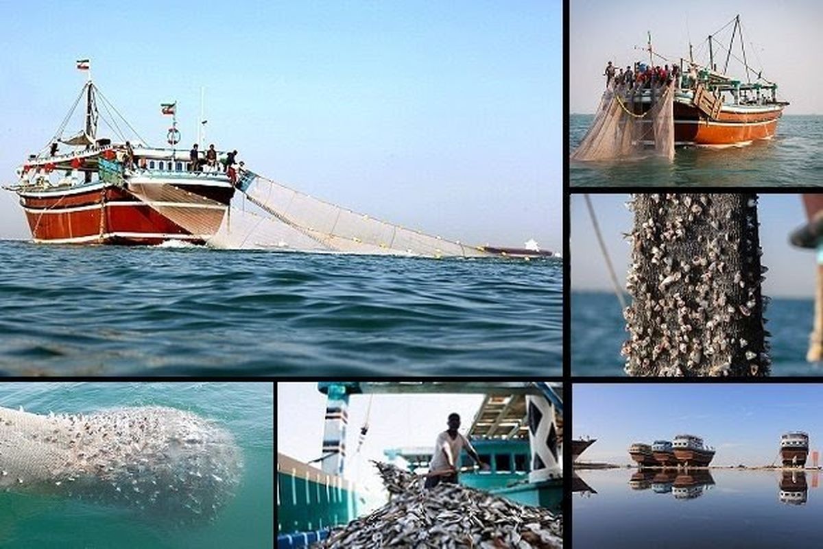 کشتی‌های چینی درآب‌های ایران حضور ندارند