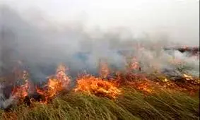 اطفای ۴ حریق در نیزارهای اهواز