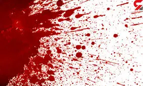 راز جنازه های سر بریده 3 مرد و یک زن بدون لباس در کلبه جنگلی