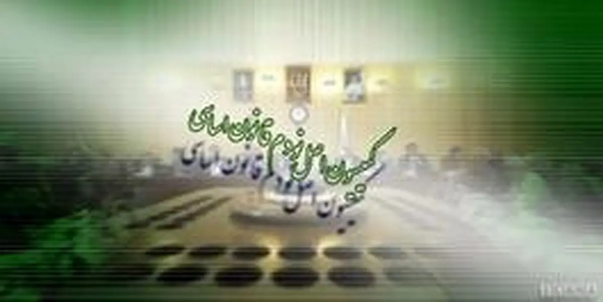 میرسلیم و زاکانی به کمیسیون اصل ۹۰ رفتند /پایداری ها پرتعداد ظاهر شدند +اعضای کمیسیون