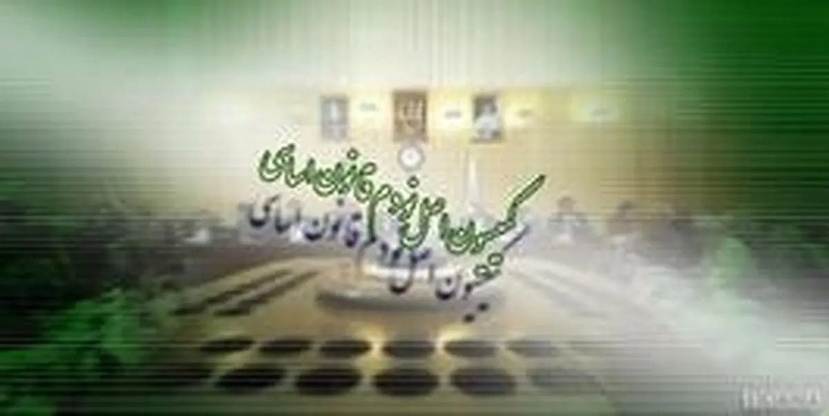 میرسلیم و زاکانی به کمیسیون اصل ۹۰ رفتند /پایداری ها پرتعداد ظاهر شدند +اعضای کمیسیون