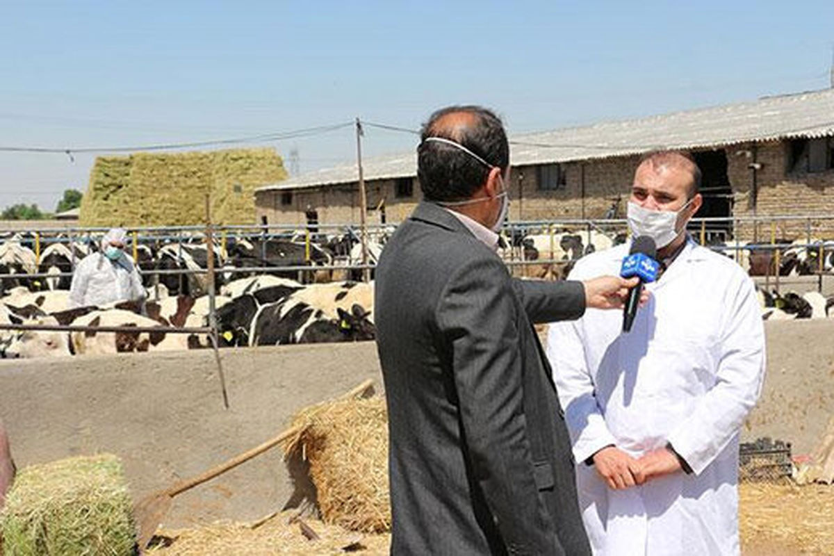 هیچ کمبودی برای واکسن بیماری تب برفکی درآذربایجان شرقی نداریم