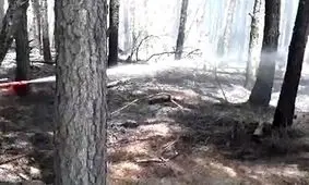 آتش در جنگل‌های رضوانشهر مهار شد