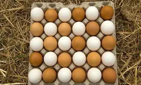 تخم‌مرغ ۳۰ هزار تومانی ناشی از هیجانات فضای مجازی است