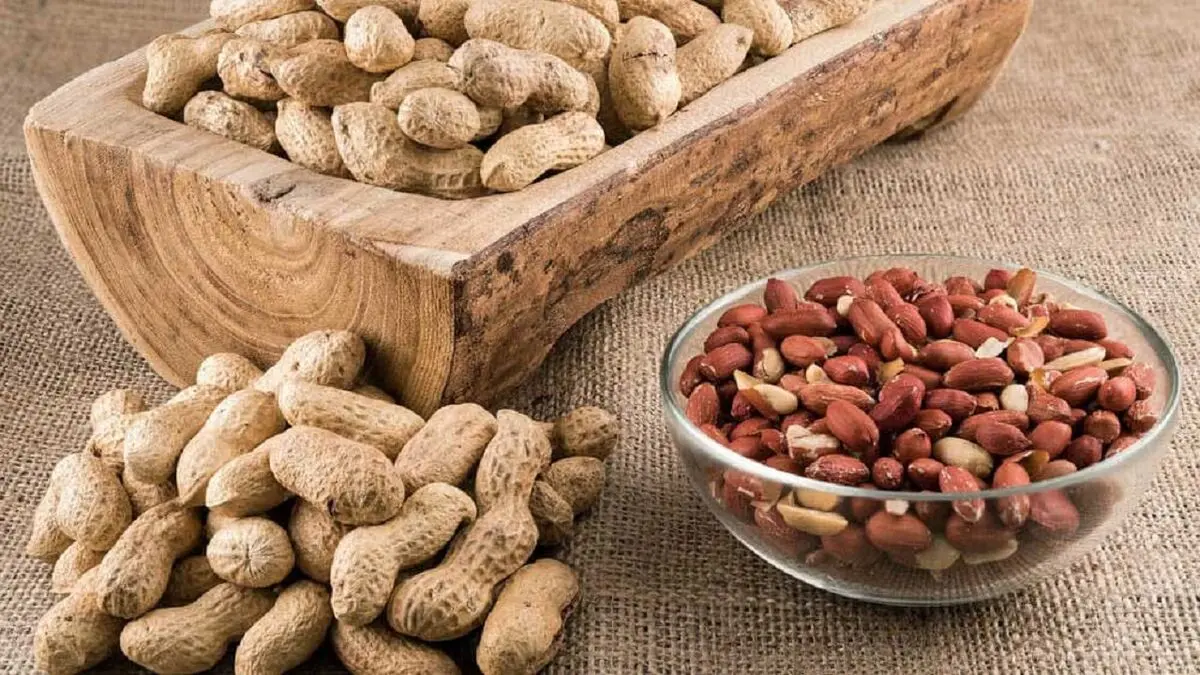 خواص و مضرات بادام زمینی را بشناسید