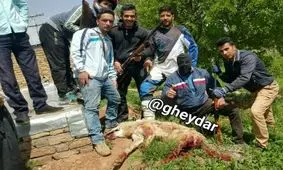 خون گرگ مادر، گناه چه کسی را شست؟