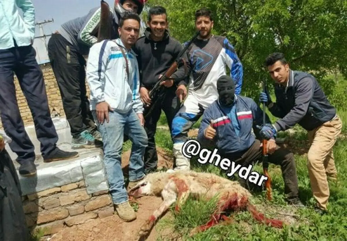 خون گرگ مادر، گناه چه کسی را شست؟