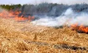 حریق ۱۲ هکتار از مزارع برداشت‌شده ایذه