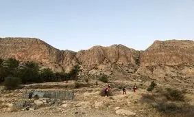 فرد گم شده در کوه‌های جم پس از ۳۶ ساعت پیدا شد