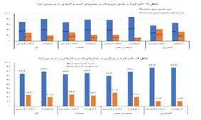 کرونا حداقل یک نیرو در ۳۰ درصد مشاغل را اخراج کرد!
