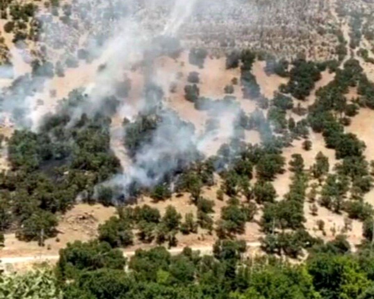 آتش سوزی جنگلهای آبشار یاسوج مهار شد