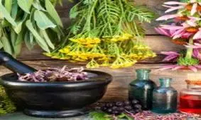 گیاهان طبیعی برای تقویت کلیه