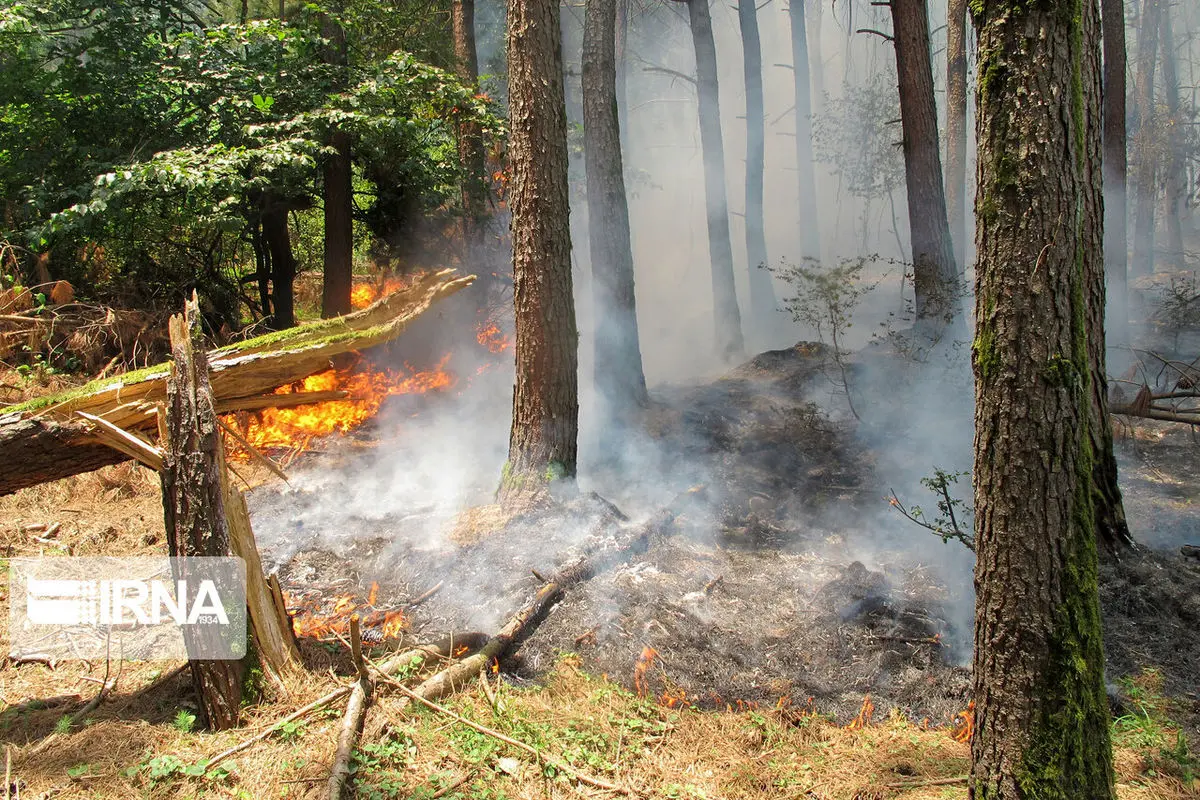 علت ٩٠ درصد آتش‌سوزی‌های اخیر خطای انسانی است 