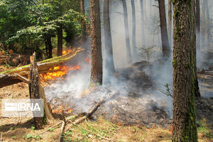 علت ٩٠ درصد آتش‌سوزی‌های اخیر خطای انسانی است 