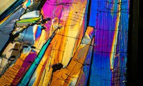 تصاویر‌ دیدنی| سفری به دنیای زیرمیکروسکوپ