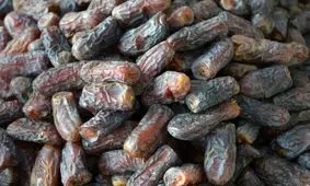 کشف چهار تن خرمای فاسد در شهرستان بروجرد