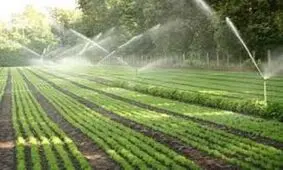 اجرای سیستم نوین آبیاری در ۱۶۸ هکتار از اراضی کشاورزی سرخه