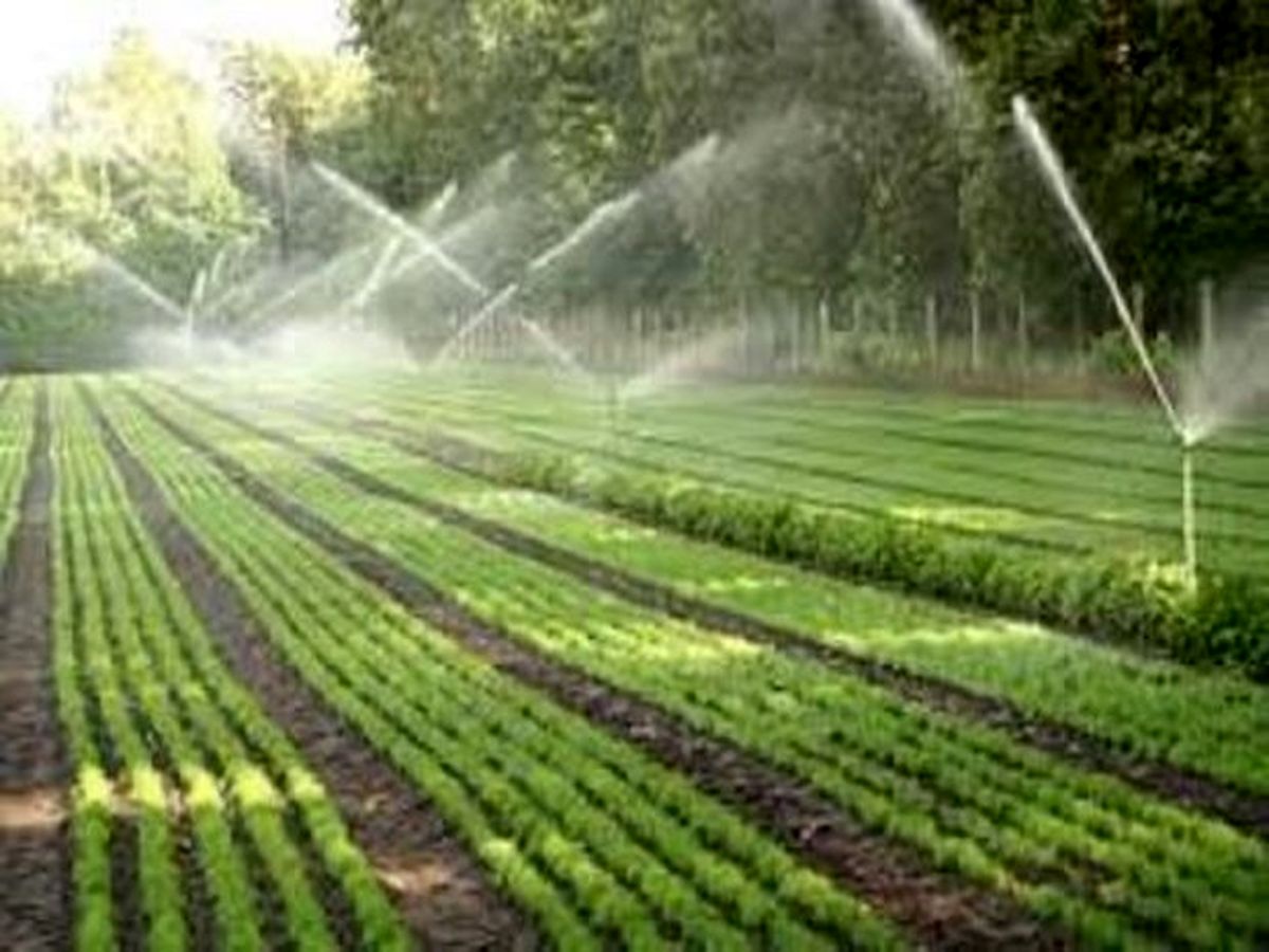 اجرای سیستم نوین آبیاری در ۱۶۸ هکتار از اراضی کشاورزی سرخه
