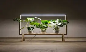 قاب‌های هوشمندی از جنس نور و طراوت + تصاویر