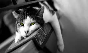 غلبه بر بی ارادگی با ۶ راهی که خویشتن‌داری را تقویت می‌کند