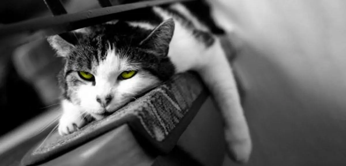 غلبه بر بی ارادگی با ۶ راهی که خویشتن‌داری را تقویت می‌کند