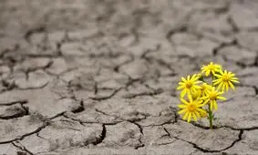 مردم کدام کشورها بیشترین طول عمر را خواهند داشت؟