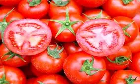 نقش جدی گوجه‌فرنگی در مقابله با سرطان