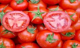 نقش جدی گوجه‌فرنگی در مقابله با سرطان