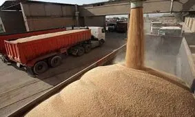 ۶۴ مرکز خرید دولتی گندم در آذربایجان‌غربی راه اندازی شد