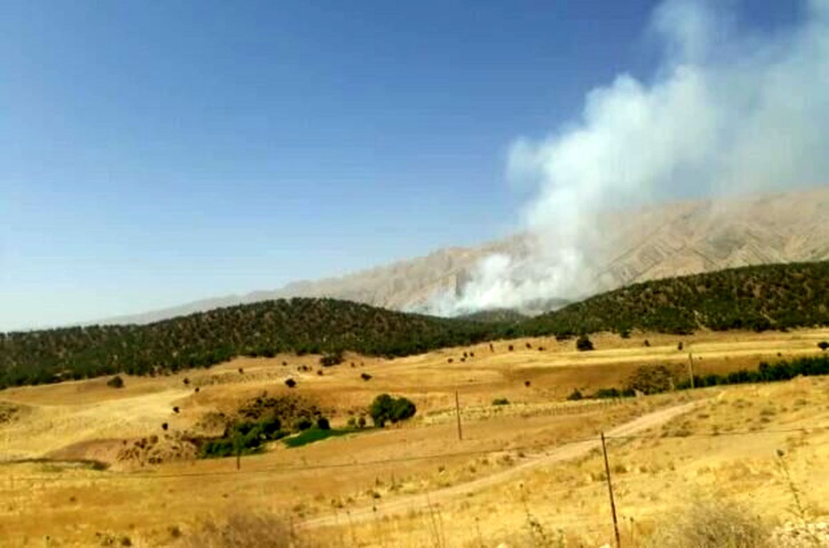 مهار آتش جنگل‌های«دمچنار» بویراحمد/جنگل‌های«گِل اِسپید»در حال سوختن