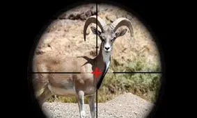 قرق‌های اختصاص محیط زیست در چنگال شکارچیان !