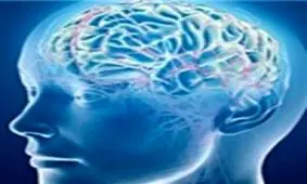 بهترین ورزش برای مغز چیست؟