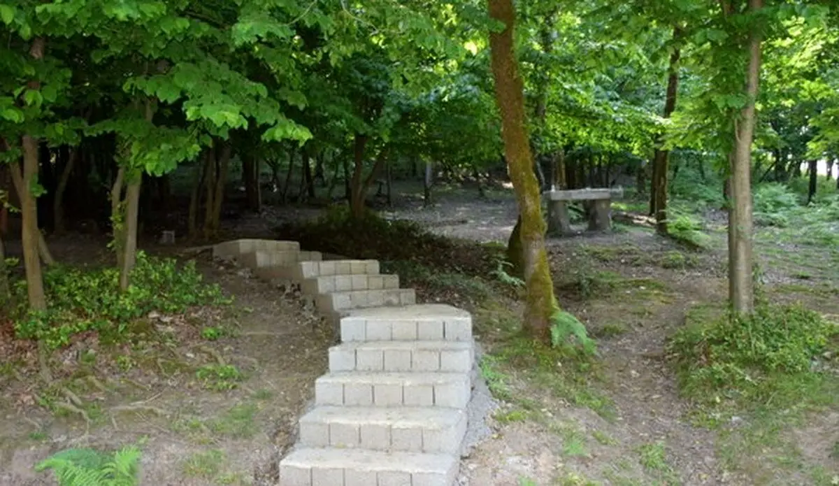 بوستان جنگلی طالقان احداث می‌شود