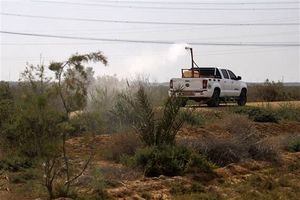 ملخ‌های صحرایی به ۶۸ هزار هکتار از اراضی کشاورزی خراسان جنوبی آسیب زدند