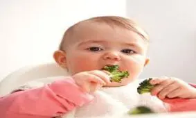 از چه زمانی به کودک میوه بدهیم؟