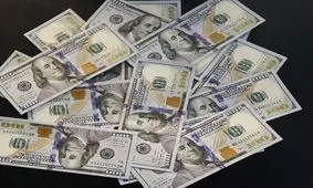 هیات حسابرسی ویژه برای برگشت ارز صادراتی تشکیل شد