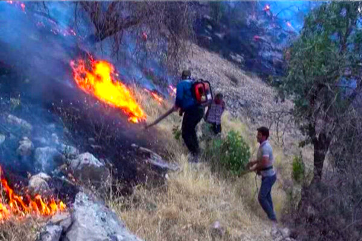 آتش‌سوزی گسترده در اراضی جنگلی بویین‌زهرا