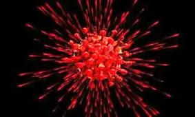 افزایش تعداد بیماران کرونایی در استان چهارمحال و بختیاری